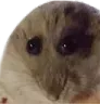emoji_9
