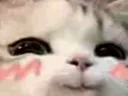 ehehehe