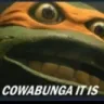 Cowabunga
