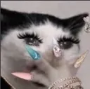 gasp