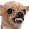 tiwawa