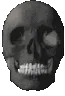 skull