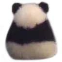 angypanda angypanda