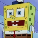 spongbot