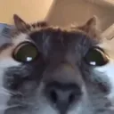 guhwuhhuh