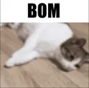 BOM