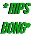 ripsbong