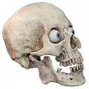 Hskull1