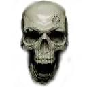 skull4k_gg_weeboo skull4k_gg_weeboo