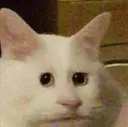 emoji_48