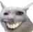 GII_cathehe GII_cathehe