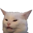 s_meme_cat_confused Discord emoji