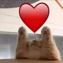 kiti_heart