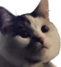 FearlBuffed