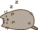 PusheenSleeping