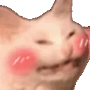 shakeycat