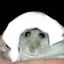 j_