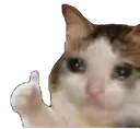 sadthanks