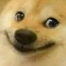 doge_smile doge_smile