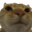 nonono