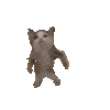 catdance