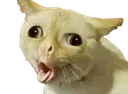 emoji_75