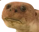 emoji_76