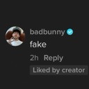badbunnyfake Discord emoji