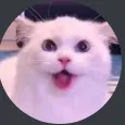 Catinhat Discord Emoji