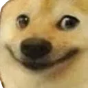 smugdoge