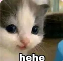hehe hehe