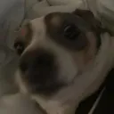 huhhh
