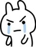 wvd_BunnyAngryCry