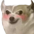 devilishChiwa devilishChiwa