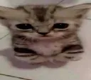 sadge sadge