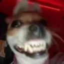 BAWRK