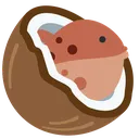 cocofish