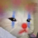 CATclown