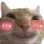 blushingcat