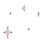 shiny_zc Discord emoji