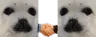 SealTheDeal SealTheDeal