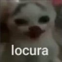 MS_LocuraCat Discord emoji