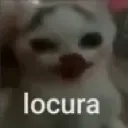 GW_LocuraCat