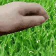 TouchGrass