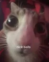 niceballs