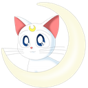 w_gato Discord emoji
