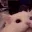 cat_rage
