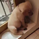 thinkingaboutballs