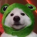 dogfrog dogfrog