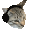CatPhones Discord emoji
